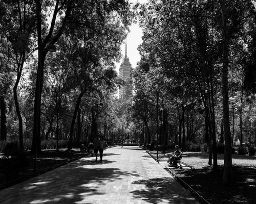 Urban park in Mexico City where people walk and rest eyes