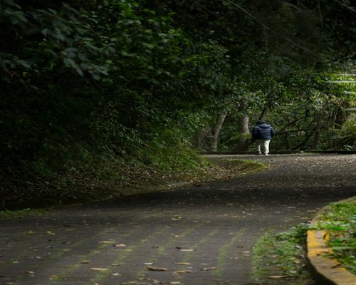 A person walking in a green Mexican park during sunset